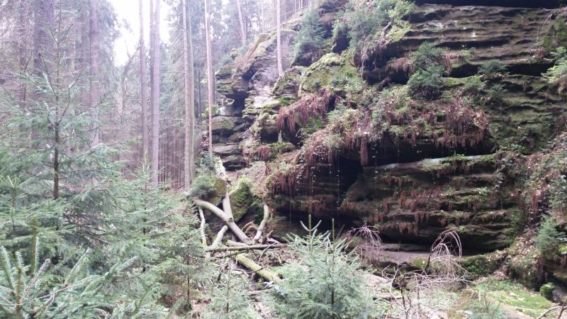 Lachwanderung Unternehmen Sächsische Schweiz